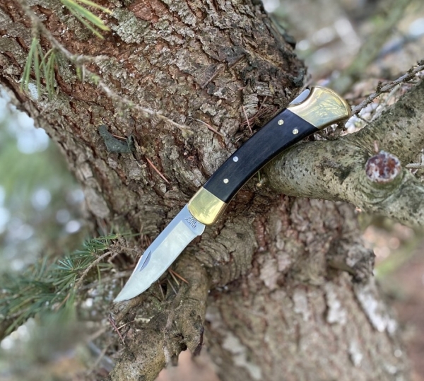 Buck Folding Hunter 110