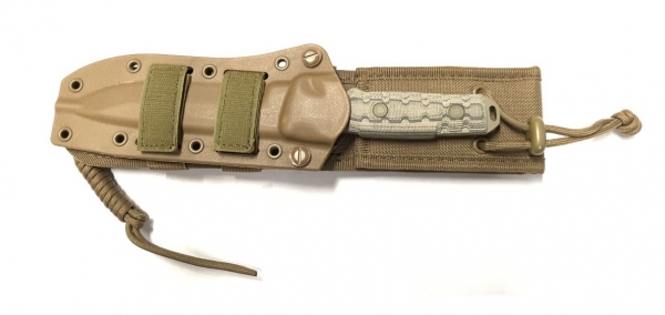 Buck GCK TANTO POINT 893 Gürtelmesser Coyote