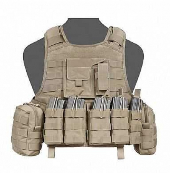 Warrior Raptor Plate Carrier DA 5.56 G36 Coyote